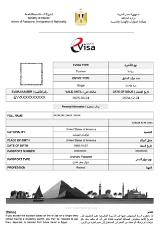 Detailed Egypt eVisa Sample