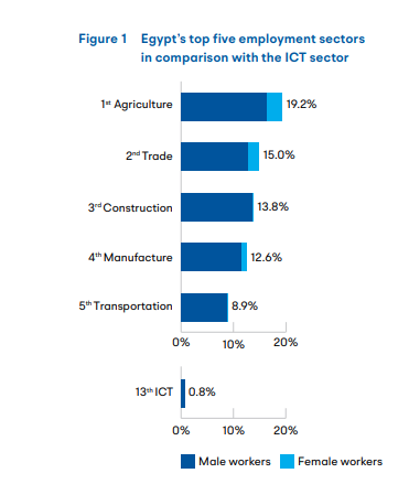 قارنة قطاعات التوظيف الأعلى في مصر بصناعة تكنولوجيا المعلومات و